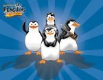 the_penguins_of_madagascar_by_blufyrdragon4-d3bedtt