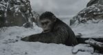 WAR-FOR-THE-PLANET-OF-THE-APES